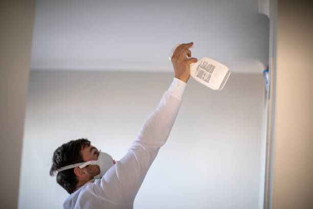 Home Mold Removal in Woodside, PA